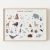 Kenay Home Animal Fashion