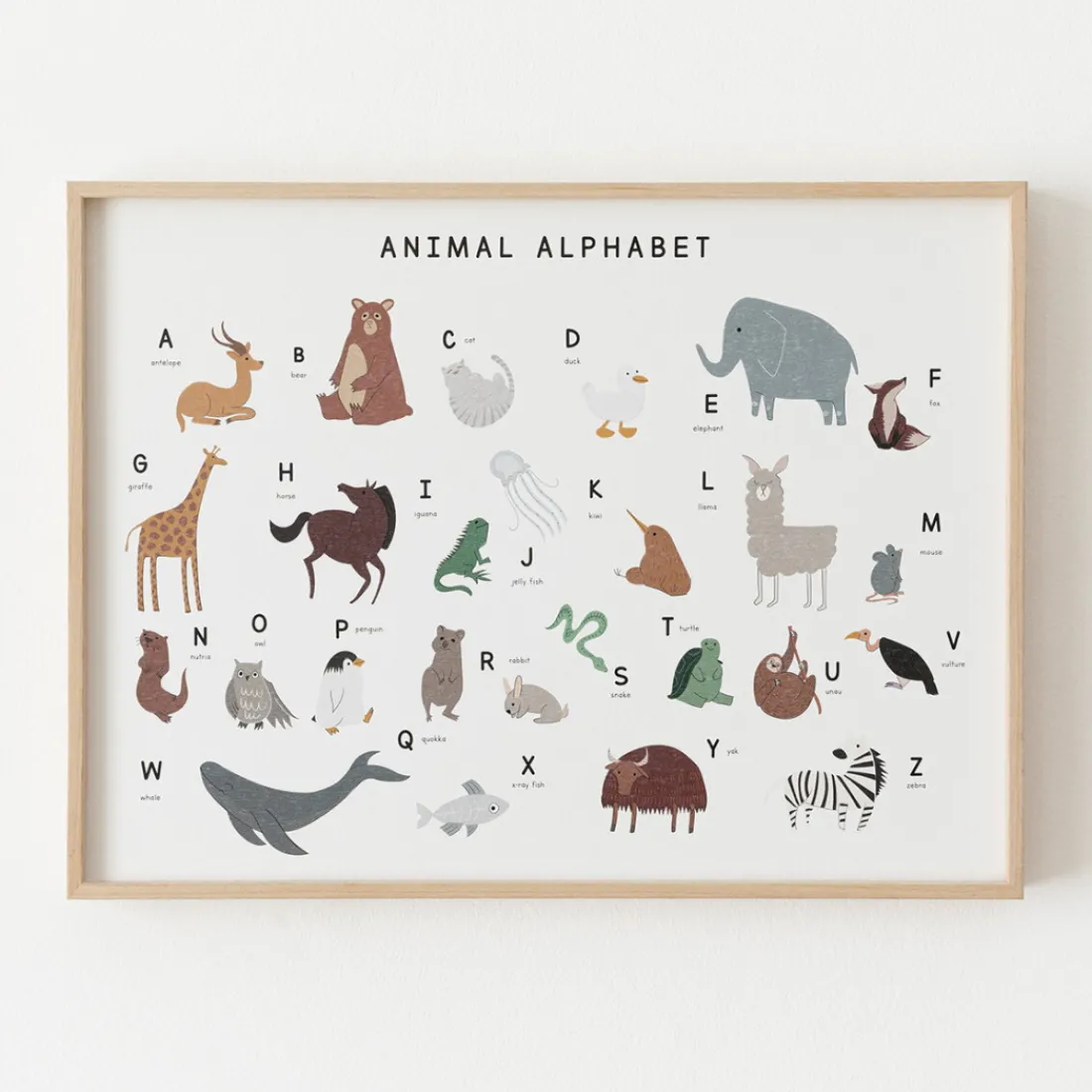Kenay Home Animal Fashion