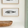Kenay Home Aurita Hot