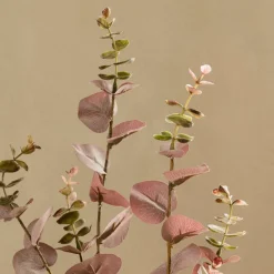 Kenay Home Eucalyptus Discount