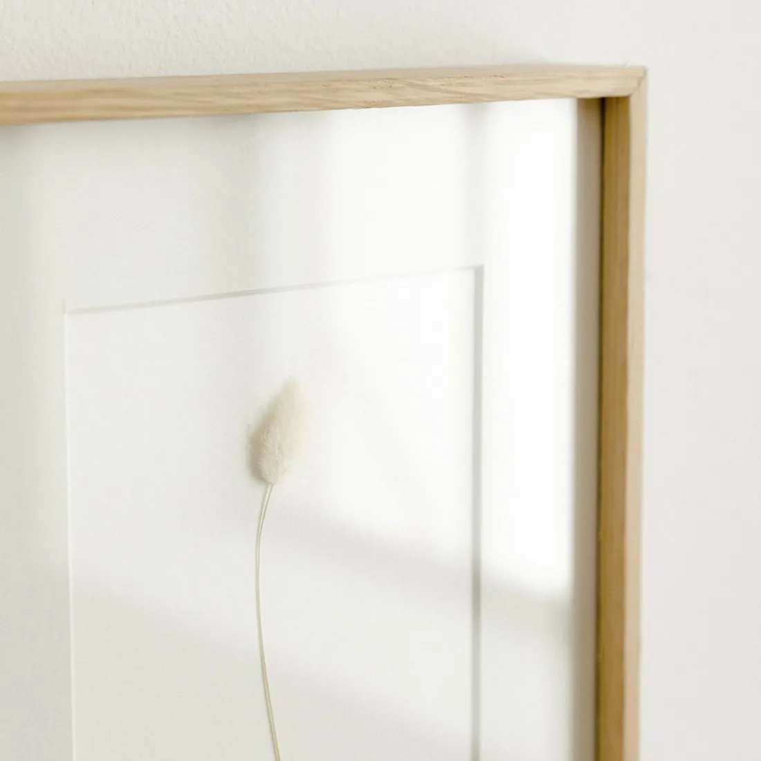 Kenay Home Iagurus Fashion