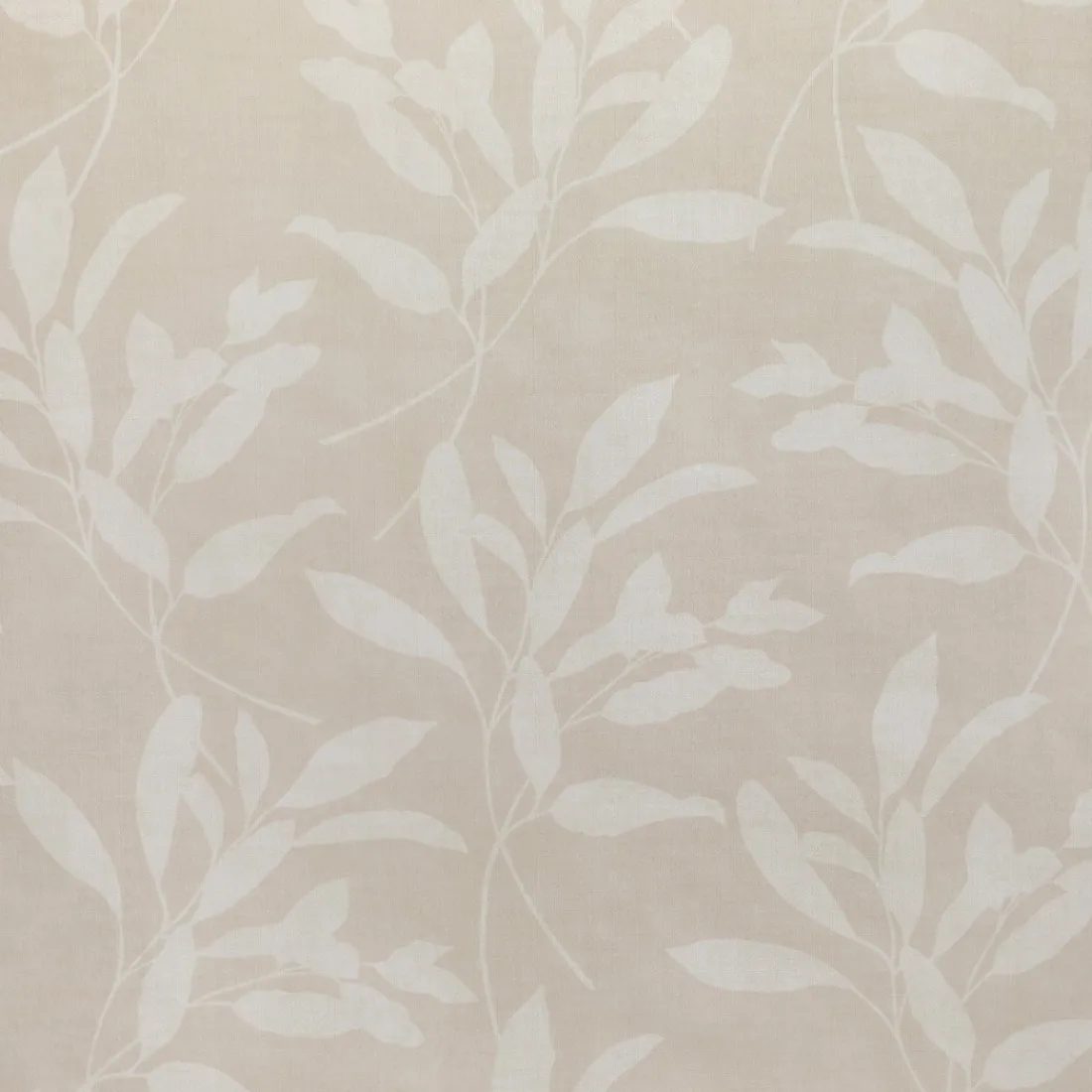 Kenay Home Nature Clearance