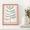 Kenay Home Zamioculca Online